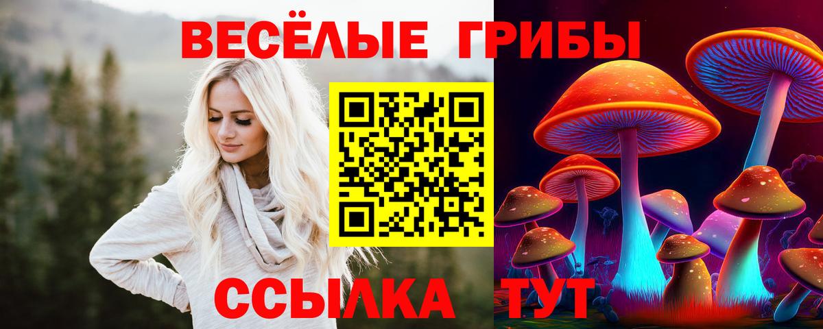 Псилоцибиновые грибы Psilocybine cubensis Нефтекумск